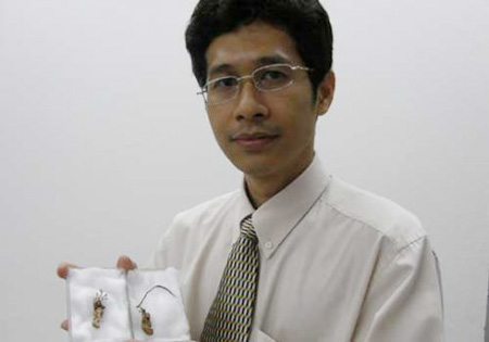 ว่านจักจั่น