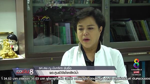 เต่าออมสิน เต่าออมสิน