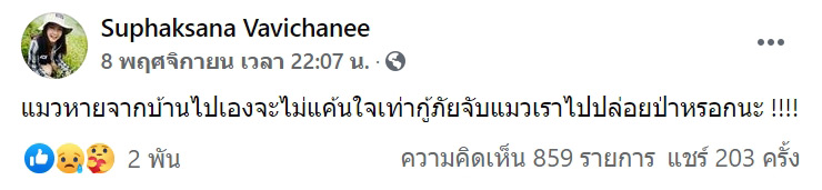 กู้ภัยจับแมวเลี้ยงไปปล่อยป่า กู้ภัยจับแมวเลี้ยงไปปล่อยป่า
