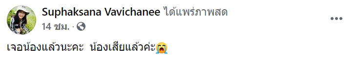 กู้ภัยจับแมวเลี้ยงไปปล่อยป่า กู้ภัยจับแมวเลี้ยงไปปล่อยป่า