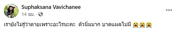 กู้ภัยจับแมวเลี้ยงไปปล่อยป่า กู้ภัยจับแมวเลี้ยงไปปล่อยป่า