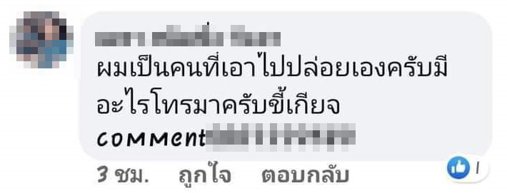 กู้ภัยจับแมวเลี้ยงไปปล่อยป่า กู้ภัยจับแมวเลี้ยงไปปล่อยป่า