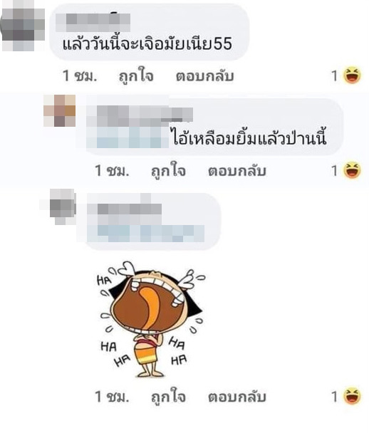 กู้ภัยจับแมวเลี้ยงไปปล่อยป่า กู้ภัยจับแมวเลี้ยงไปปล่อยป่า