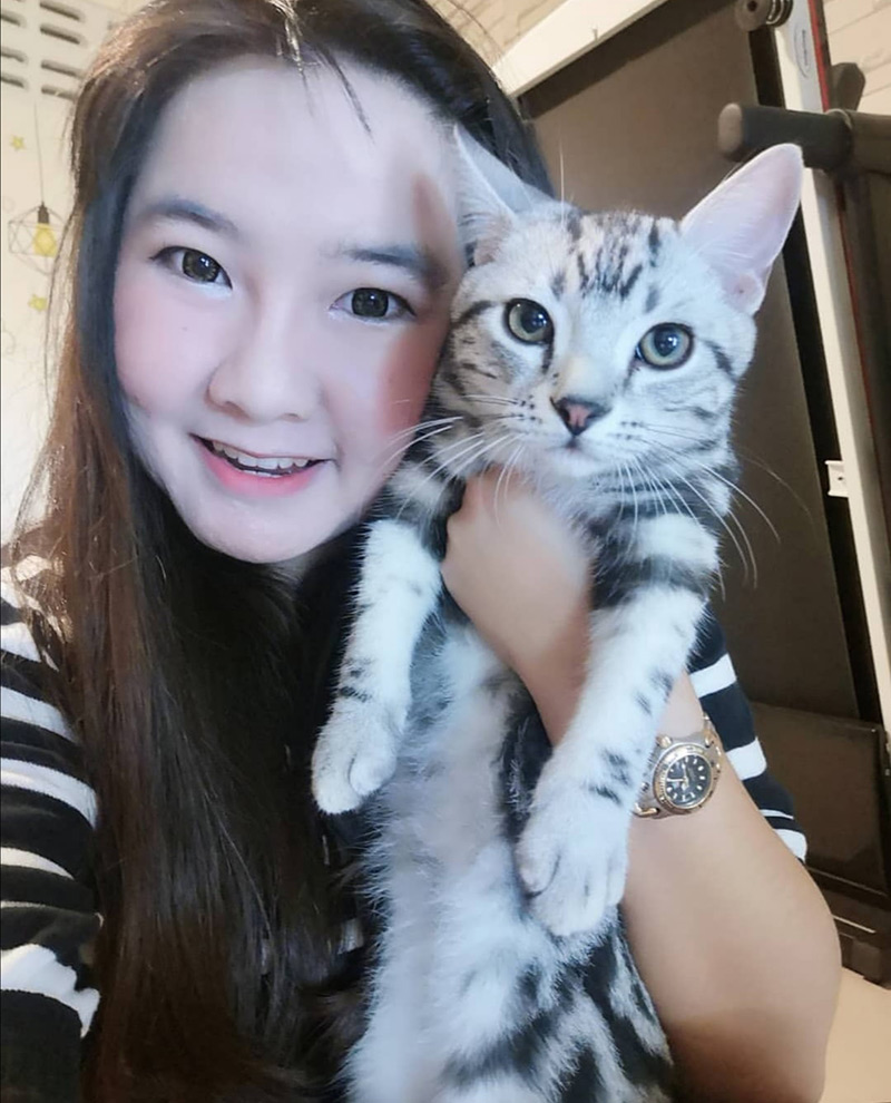 กู้ภัยจับแมวเลี้ยงไปปล่อยป่า กู้ภัยจับแมวเลี้ยงไปปล่อยป่า