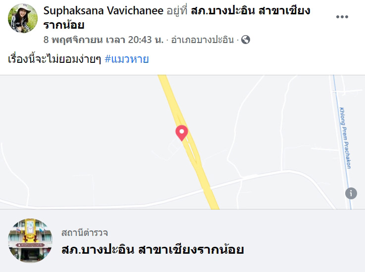 กู้ภัยจับแมวเลี้ยงไปปล่อยป่า กู้ภัยจับแมวเลี้ยงไปปล่อยป่า