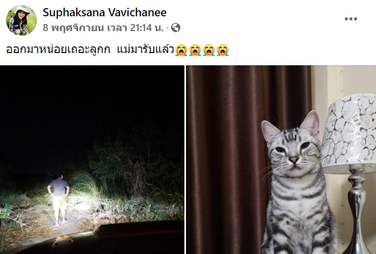 กู้ภัยจับแมวเลี้ยงไปปล่อยป่า กู้ภัยจับแมวเลี้ยงไปปล่อยป่า