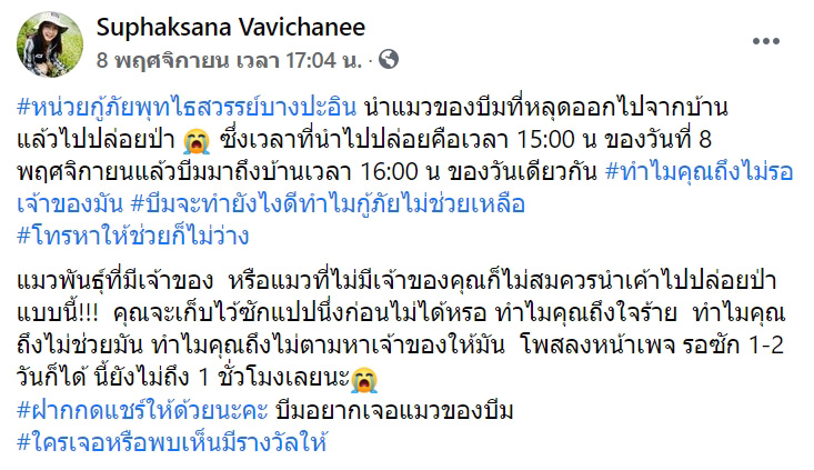 กู้ภัยจับแมวเลี้ยงไปปล่อยป่า กู้ภัยจับแมวเลี้ยงไปปล่อยป่า