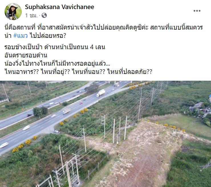 กู้ภัยจับแมวเลี้ยงไปปล่อยป่า กู้ภัยจับแมวเลี้ยงไปปล่อยป่า