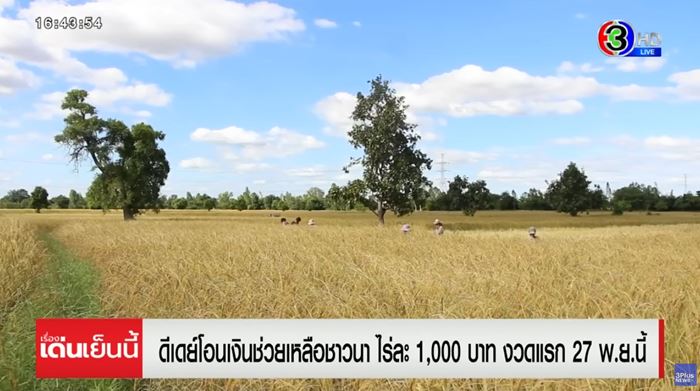 ปฏิทินเงินช่วยเหลือชาวนา เงินช่วยเหลือชาวนา ไร่ละ 1,000 บาท