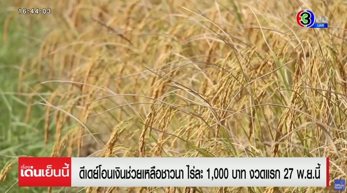ปฏิทินเงินช่วยเหลือชาวนา เงินช่วยเหลือชาวนา ไร่ละ 1,000 บาท