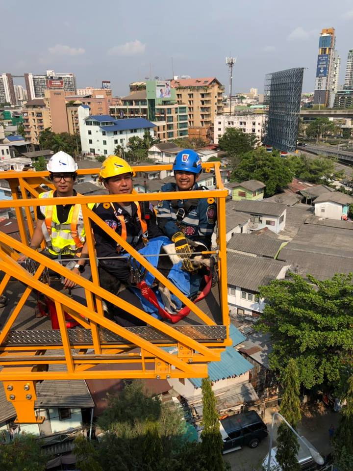 ช่วยสุนัข