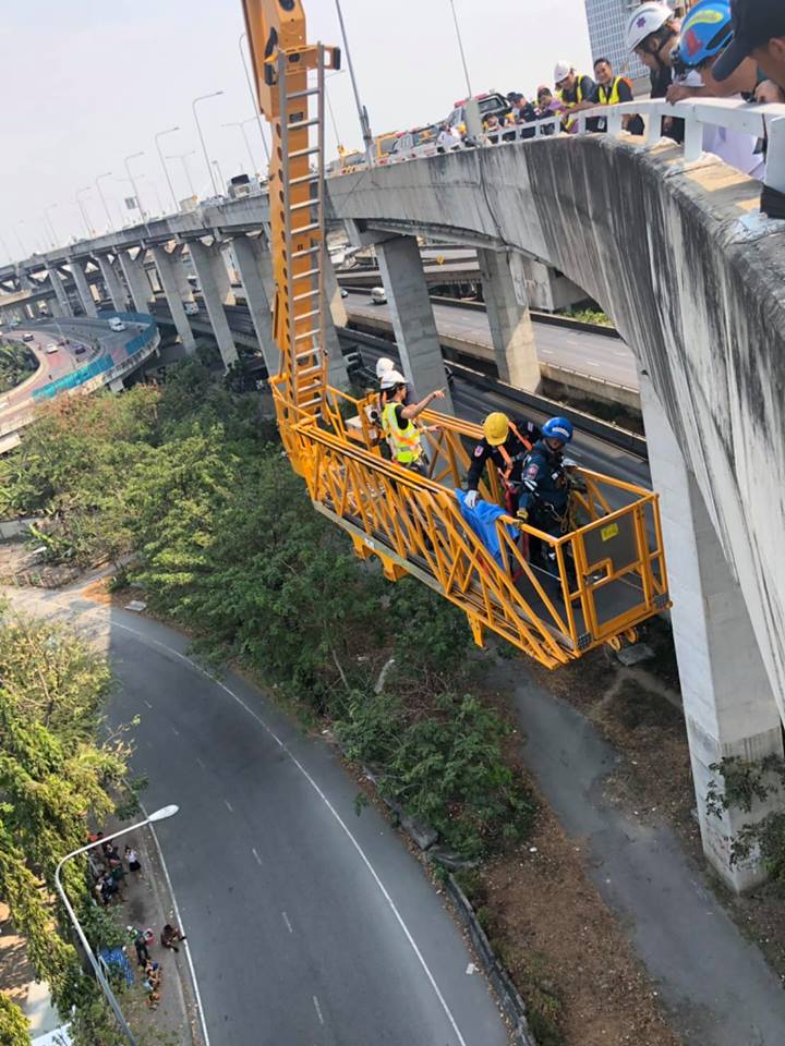 ช่วยสุนัข