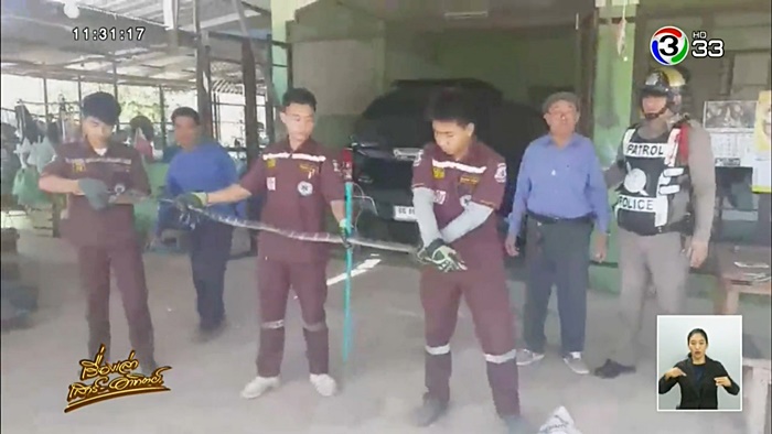 งูเข้าบ้าน