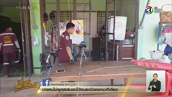 งูเข้าบ้าน