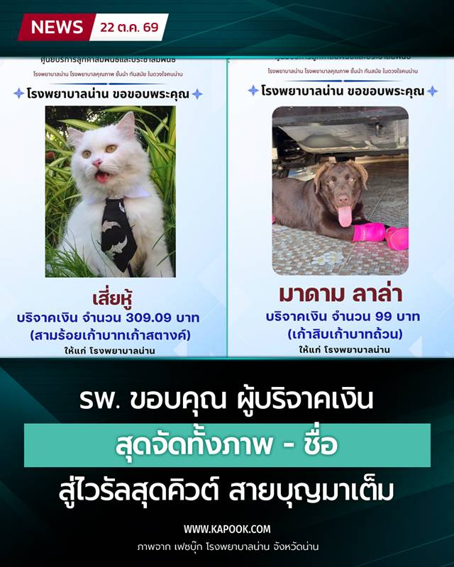 บริจาคเงิน บริจาคเงิน